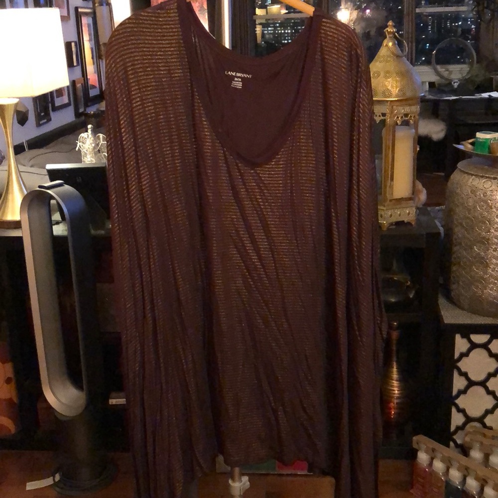 Bat wing burgundy and gold striped top